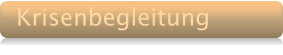 Krisenbegleitung