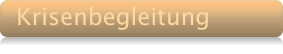 Krisenbegleitung