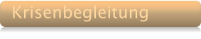 Krisenbegleitung