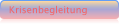 Krisenbegleitung