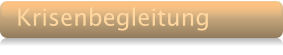 Krisenbegleitung