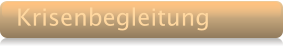 Krisenbegleitung